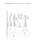 Detection Assays and Use Thereof diagram and image