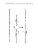 Detection Assays and Use Thereof diagram and image