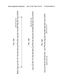 Detection Assays and Use Thereof diagram and image