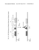 Detection Assays and Use Thereof diagram and image