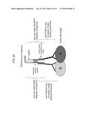 Detection Assays and Use Thereof diagram and image