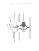 Detection Assays and Use Thereof diagram and image