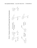 Detection Assays and Use Thereof diagram and image