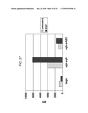 Detection Assays and Use Thereof diagram and image