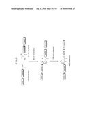 Detection Assays and Use Thereof diagram and image