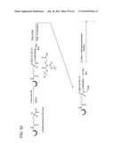 Detection Assays and Use Thereof diagram and image