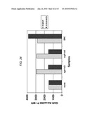 Detection Assays and Use Thereof diagram and image