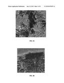 PRODUCTION OF REPROGRAMMED CELLS WITH RESTORED POTENTIAL diagram and image