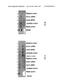 PRODUCTION OF REPROGRAMMED CELLS WITH RESTORED POTENTIAL diagram and image