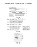 Screening of Abundantly Secreted Proteins and Their Use as Fusion Partners for the Production of Recombinant Proteins diagram and image