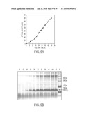 Screening of Abundantly Secreted Proteins and Their Use as Fusion Partners for the Production of Recombinant Proteins diagram and image