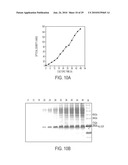 Screening of Abundantly Secreted Proteins and Their Use as Fusion Partners for the Production of Recombinant Proteins diagram and image