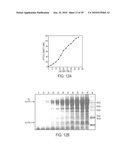 Screening of Abundantly Secreted Proteins and Their Use as Fusion Partners for the Production of Recombinant Proteins diagram and image