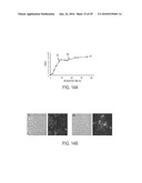 Screening of Abundantly Secreted Proteins and Their Use as Fusion Partners for the Production of Recombinant Proteins diagram and image