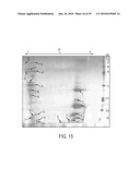 Screening of Abundantly Secreted Proteins and Their Use as Fusion Partners for the Production of Recombinant Proteins diagram and image