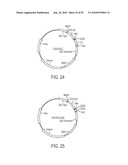 Screening of Abundantly Secreted Proteins and Their Use as Fusion Partners for the Production of Recombinant Proteins diagram and image