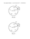 Screening of Abundantly Secreted Proteins and Their Use as Fusion Partners for the Production of Recombinant Proteins diagram and image