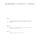 PROGNOSIS AND RISK ASSESSMENT IN PATIENTS SUFFERING FROM HEART FAILURE BY DETERMINING THE LEVEL OF ADM AND BNP diagram and image