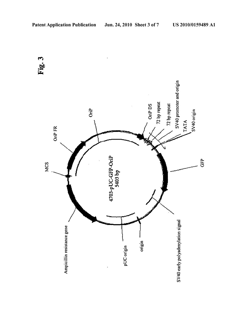 PROMOTER - diagram, schematic, and image 04