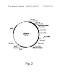 Methods for determining cellulolytic enhancing activity of a polypeptide diagram and image