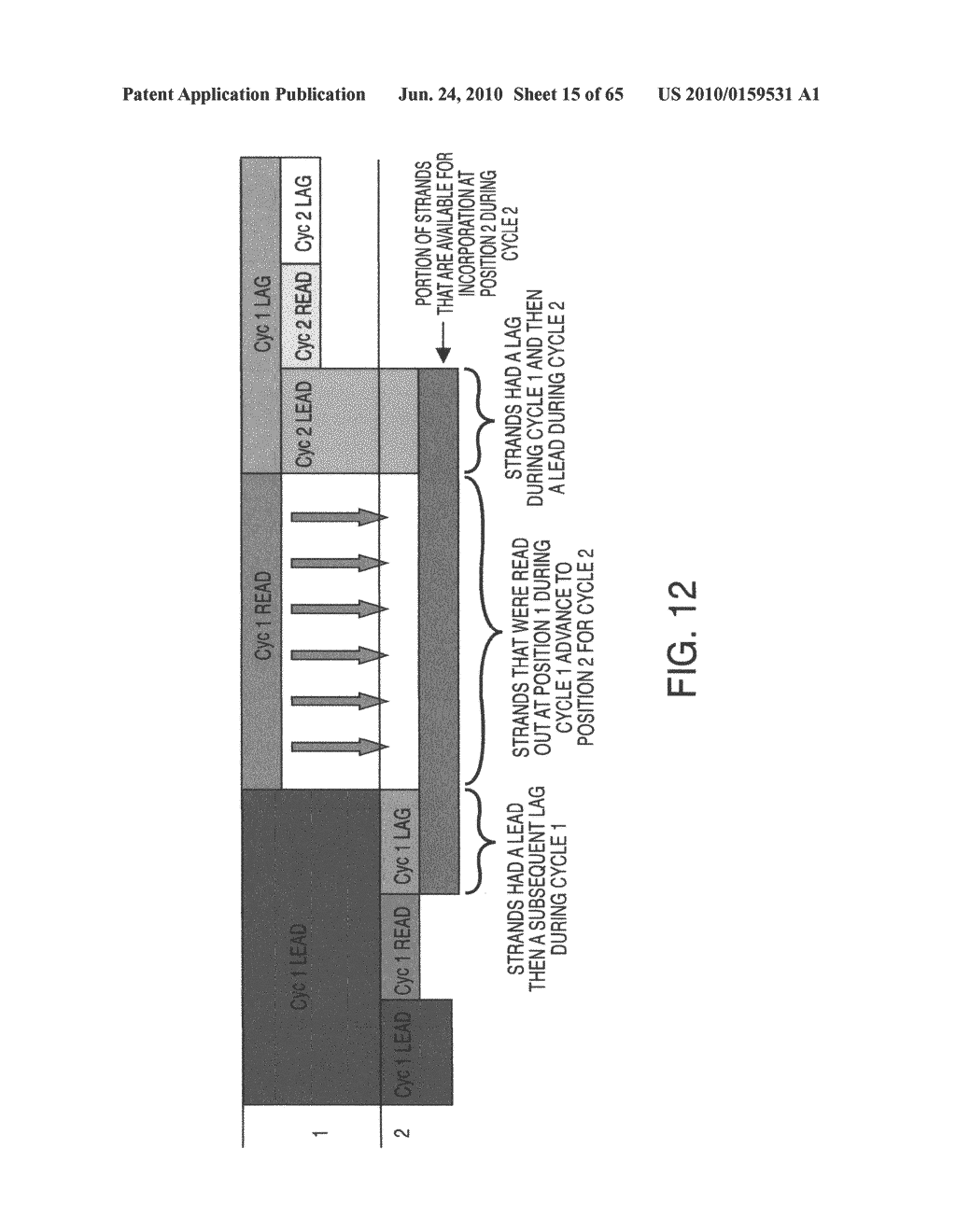 Methods And Solutions For Inhibiting Undesired Cleaving Of Labels - diagram, schematic, and image 16