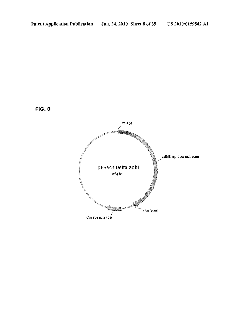 BACTERIAL CELLS EXHIBITING FORMATE DEHYDROGENASE ACTIVITY FOR THE MANUFACTURE OF SUCCINIC ACID - diagram, schematic, and image 09