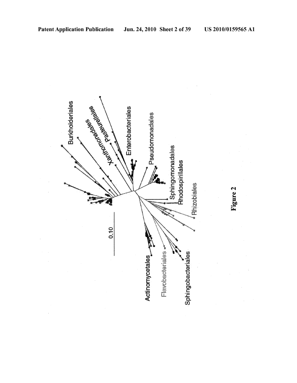 Toxin-Eating Bacteria and Bioremediation - diagram, schematic, and image 03