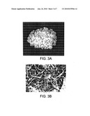 SYSTEMS AND METHODS FOR PRODUCING BIOFUELS AND RELATED MATERIALS diagram and image