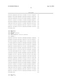 Hybrid Suppressor tRNA for Vertebrate Cells diagram and image