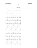 Hybrid Suppressor tRNA for Vertebrate Cells diagram and image