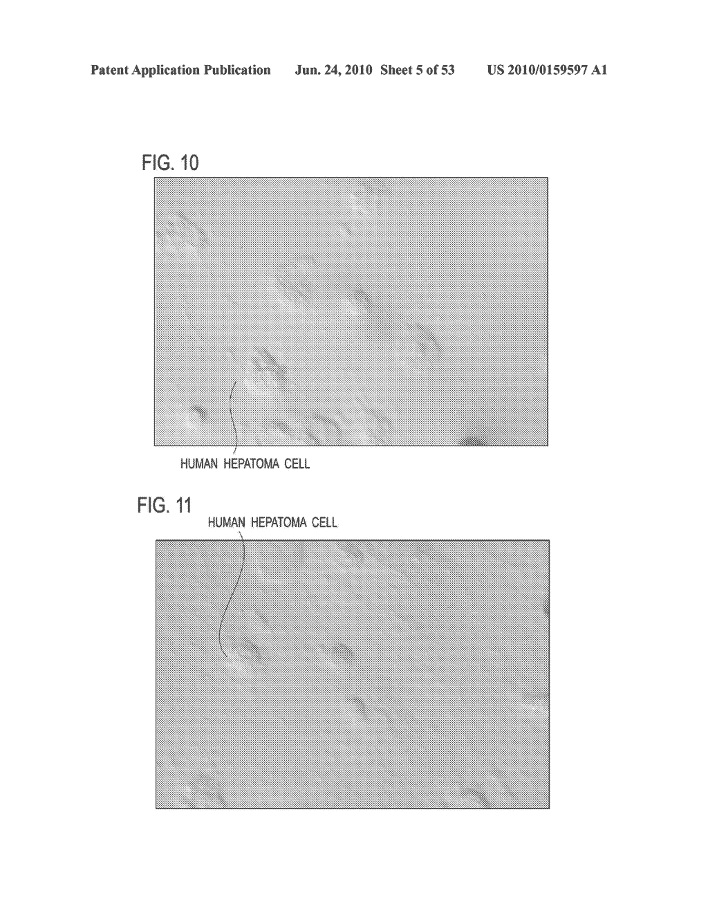 CELL CULTURE MEMBRANE, CELL CULTURE KIT, POROUS MATERIAL, PRODUCTION METHOD FOR CELL CULTURE MEMBRANE AND PRODUCTION METHOD FOR POROUS MATERIAL - diagram, schematic, and image 06