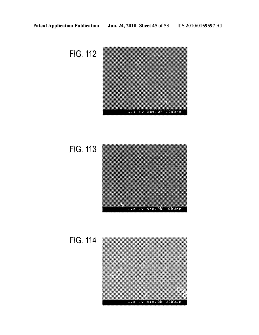 CELL CULTURE MEMBRANE, CELL CULTURE KIT, POROUS MATERIAL, PRODUCTION METHOD FOR CELL CULTURE MEMBRANE AND PRODUCTION METHOD FOR POROUS MATERIAL - diagram, schematic, and image 46