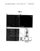 Metal Ion-Based Immobilization diagram and image