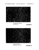 METHODS AND COMPOSITIONS FOR ENHANCING COLLAGEN, PROTEOGLYCAN, AND GLUTATHIONE SYNTHESIS IN THE SKIN diagram and image