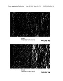 METHODS AND COMPOSITIONS FOR ENHANCING COLLAGEN, PROTEOGLYCAN, AND GLUTATHIONE SYNTHESIS IN THE SKIN diagram and image