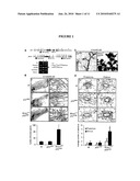 METHODS AND COMPOSITIONS FOR CANCER PREVENTION AND TREATMENT diagram and image