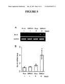 METHODS AND COMPOSITIONS FOR CANCER PREVENTION AND TREATMENT diagram and image