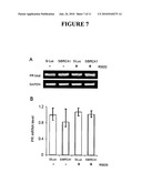 METHODS AND COMPOSITIONS FOR CANCER PREVENTION AND TREATMENT diagram and image