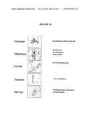 METHODS AND COMPOSITIONS FOR CANCER PREVENTION AND TREATMENT diagram and image