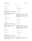 TRICYCLIC SPIRO-OXINDOLE DERIVATIVES AND THEIR USES AS THERAPEUTIC AGENTS diagram and image