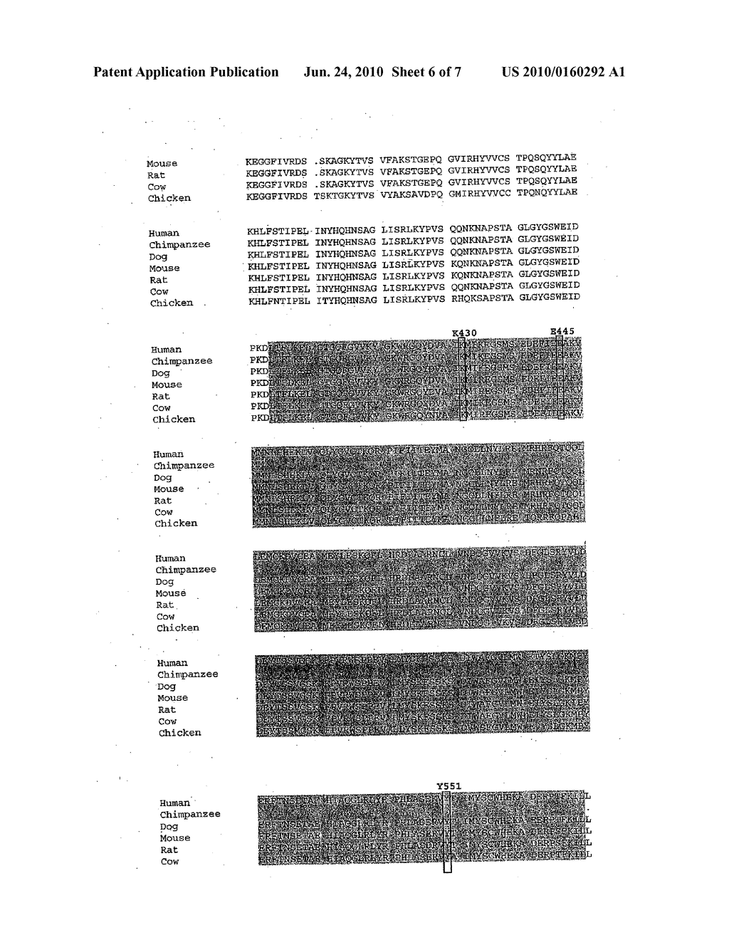 Kinase Inhibitors, and Methods of Using and Identifying Kinase Inhibitors - diagram, schematic, and image 07