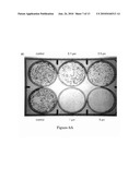 DISCOVERY OF NOVEL ANTICANCER COMPOUNDS BASED ON CONFORMATIONAL SAMPLING OF QUINOXALINHYDRAZIDE PHARMACOPHORE diagram and image