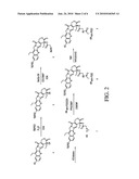 TREATMENT OF NON-HODGKIN S LYMPHOMAS WITH MULTI-ARM POLYMERIC CONJUGATES OF 7-ETHYL-10-HYDROXYCAMPTOTHECIN diagram and image