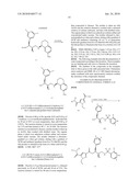 DERIVATIVES OF PYRAZOLE 3,5-CARBOXYLATES, THEIR PREPARATION AND THEIR APPLICATION IN THERAPEUTICS diagram and image