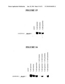 TREATMENT OF MITOCHONDRIA-RELATED DISEASES AND IMPROVEMENT OF AGE-RELATED METABOLIC DEFICITS diagram and image