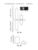 METHOD TO INHIBIT ISCHEMIA AND REPERFUSION INJURY diagram and image