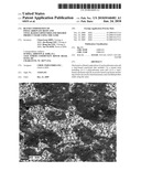 Blend Composition of Polycarbonate Resin and Vinyl-Based Copolymer and Molded Product Made Using the Same diagram and image