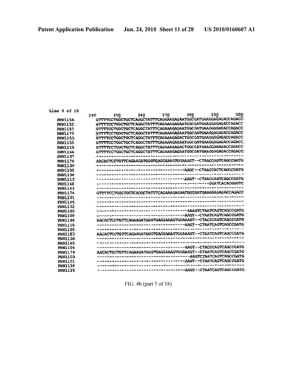 p16 MEDIATED REGULATION OF NMDA RECEPTORS - diagram, schematic, and image 12