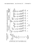 SYNTHETIC MIMICS OF MAMMALIAN CELL SURFACE RECEPTORS: METHOD AND COMPOSITIONS diagram and image