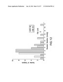 BODY-WORN SYSTEM FOR MEASURING CONTINUOUS NON-INVASIVE BLOOD PRESSURE (cNIBP) diagram and image